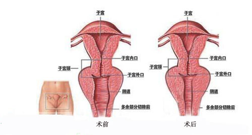2023蘇州面部綜合管理十大專家口碑排名(孫瀾、魏國祥、宋茂芹口碑推薦人氣高)