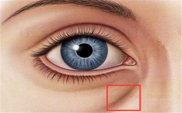 上海哪家醫(yī)院做雙眼皮好？楊嫻嫻的雙眼皮手術是否值得推薦？點擊查看價格表！