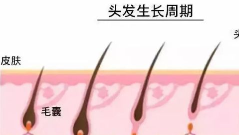 徐州市中心醫(yī)院整形美容科的醫(yī)生介紹及鼻子手術(shù)費用如何？