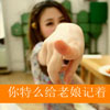 靳藍(lán)欣
