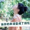 鄧智茹