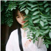 葛長(zhǎng)逸