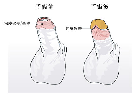2023長沙頭發(fā)再生專家整理:頂級(jí)植發(fā)醫(yī)生推薦奉上 2023長沙頭發(fā)再生專家整理:頂級(jí)植發(fā)醫(yī)生推薦奉上