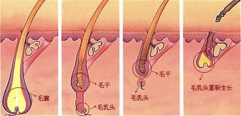 杭州最受歡迎的整形醫(yī)院盤點：維多利亞第一，華研、美立方在榜！