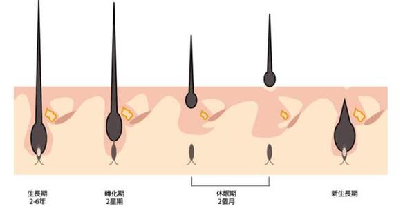 南京顱面部外傷骨折修復(fù)整形醫(yī)院口碑好的有哪些？2023南京顱面部外傷骨折修復(fù)醫(yī)療整形醫(yī)院排行榜TOP10年終