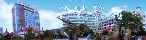 喀什地區(qū)第一人民醫(yī)院硅膠墊下巴價格如何？效果如何？