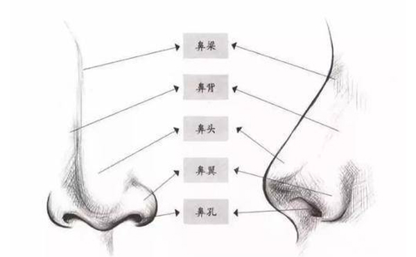 箭鼻矯正須知【成因、適宜人群、禁忌癥、手術(shù)原理、術(shù)前準(zhǔn)備、手術(shù)時間、恢復(fù)期】